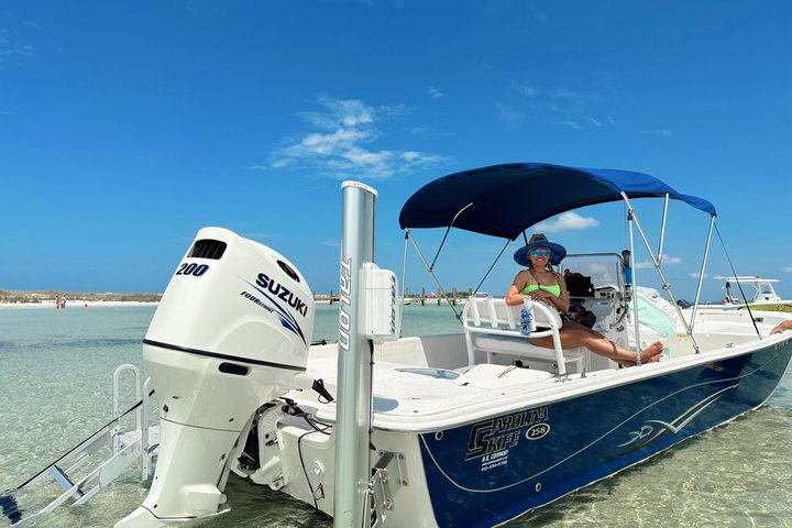 Snorkeling, Dolphin and Wildlife Sightings at St. Andrews Bay - Photo 1 of 22